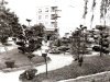 Jardim em Mauá