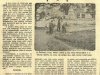 Construção da Praça Paineira 1982