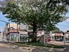 Preservação da história de Mauá e a geração de empregos na cidade