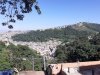 Jardim Zaíra 5 - ano 2020