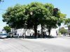 Curiosidades sobre a cidade de Mauá