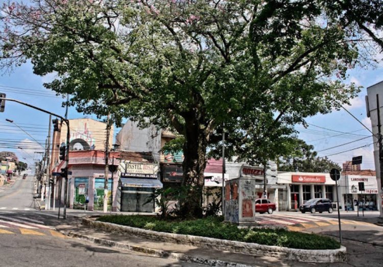 Ajude o Mauá Memória