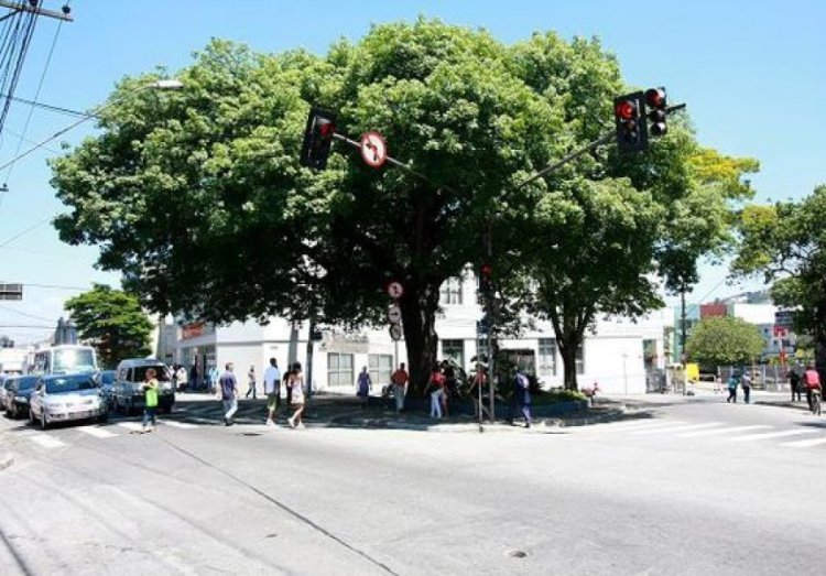 Curiosidades sobre a cidade de Mauá