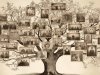Genealogia: o guia completo para iniciantes