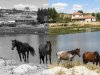 Colorindo o passado: os melhores sites e ferramentas para dar nova vida às fotos antigas