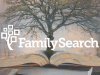 FamilySearch Genealogias: como usar a plataforma para pesquisar sua árvore familiar