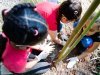 Dia da Árvore ganha significado especial em visita de alunos à Gruta de Santa Luzia