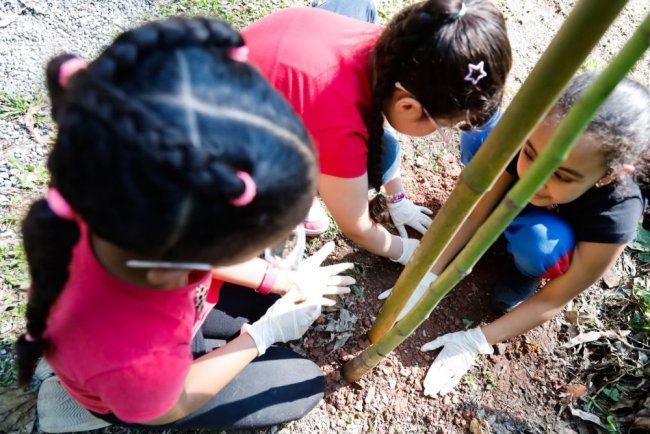 Dia da Árvore ganha significado especial em visita de alunos à Gruta de Santa Luzia