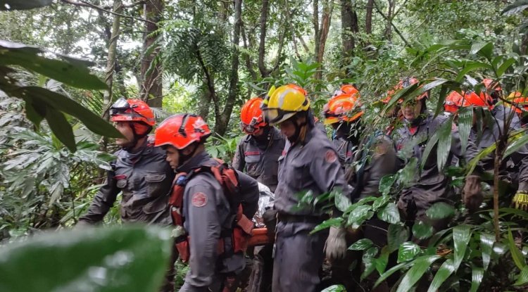 Como trilhas mapeadas ajudam bombeiros em resgates na Serra do Mar