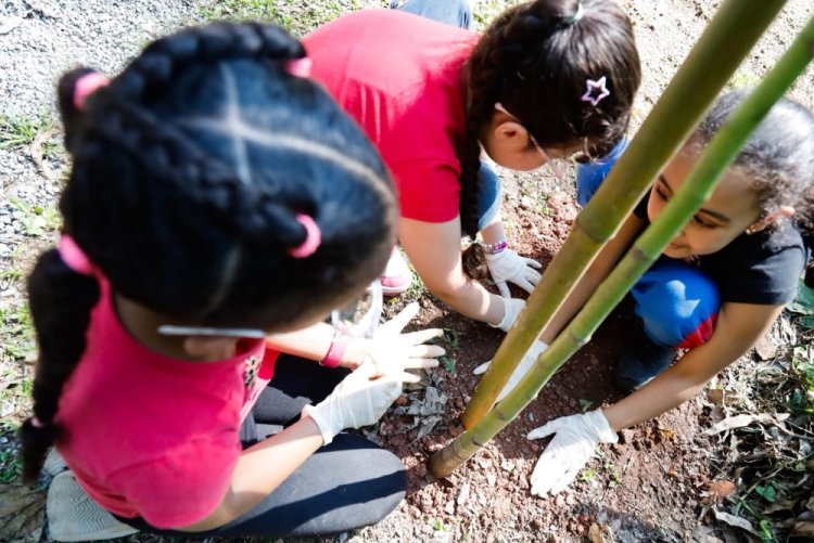 Dia da Árvore ganha significado especial em visita de alunos à Gruta de Santa Luzia