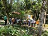 Olhar Verde leva alunos da rede municipal aos parques de Mauá