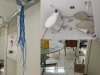 Vandalismo e furto de cabos prejudicaram atendimento em série de unidades de saúde de Mauá na última semana