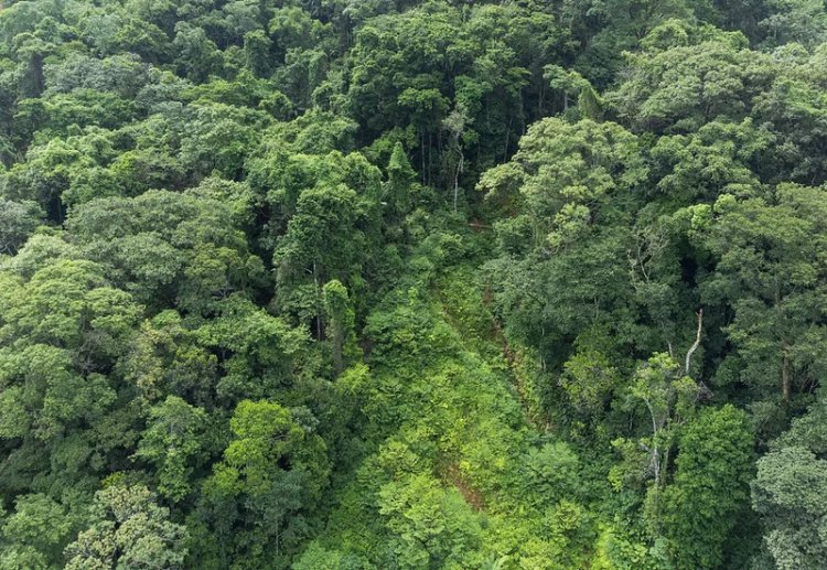 Desafio Global de Sustentabilidade está com inscrições abertas a graduandos e pós-graduandos da América do Sul