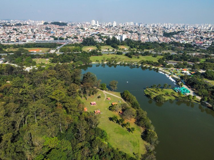 Dia das Crianças: parques urbanos de SP transformam natureza em cenário de brincadeiras e descobertas