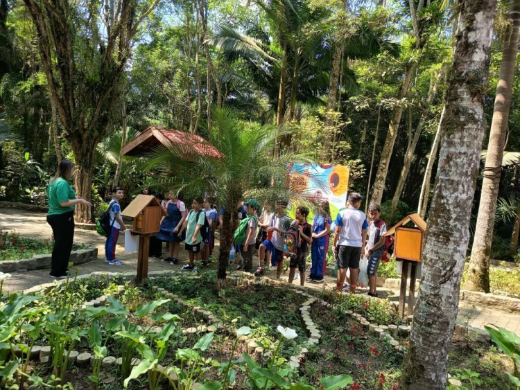 Olhar Verde leva alunos da rede municipal aos parques de Mauá